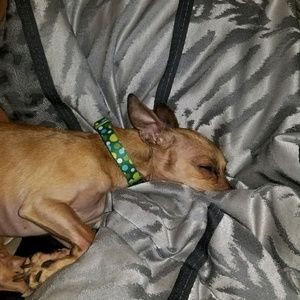 Meet your Posher, Devinlyn